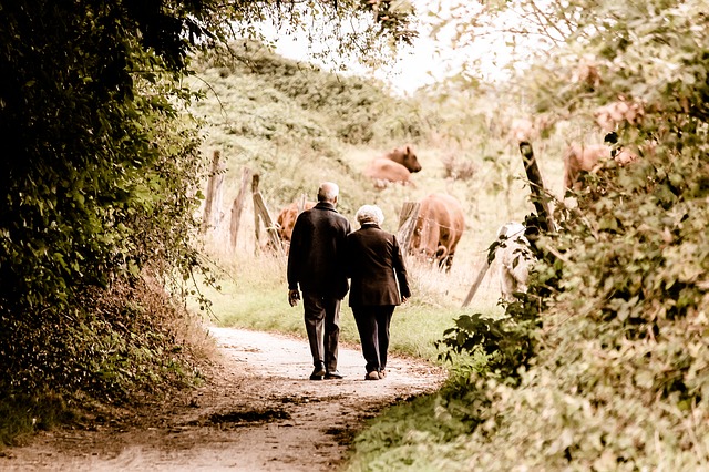 An older couple walking side by side holding hands, on a rustic nature trail, symbolizing a long lasting marriage.