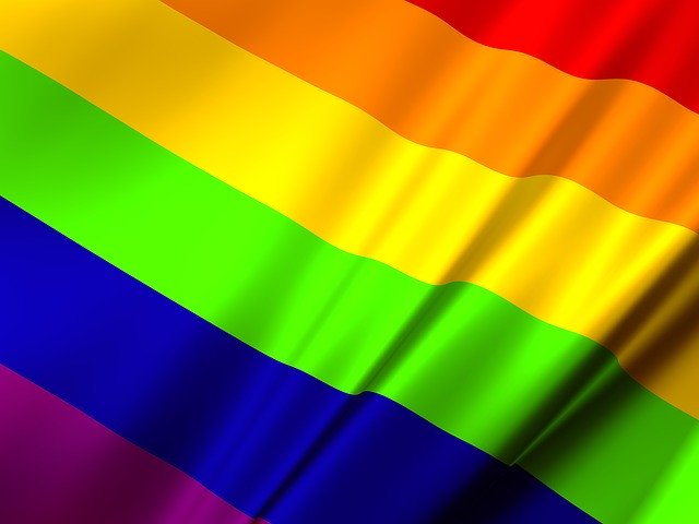 A rainbow pride flag.
