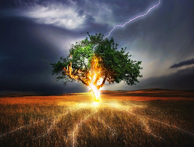 A tree in the middle of a field being struck by lightening, symbolizing great risk.