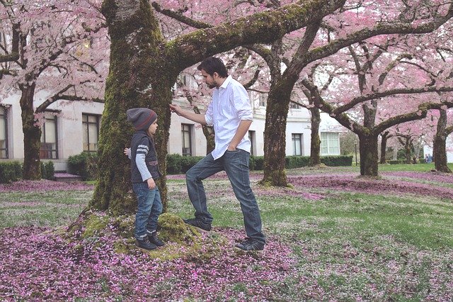 A grown man and a little kid hanging out under a flowering tree.