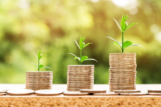 Three stacks of coins, each one taller than the next, with a plant growing out of the top. This shows that planning ahead for your child's future support is important.