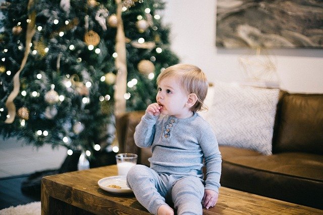 A little kid eating cookies on a bench in the living room in front of the Christmas tree.