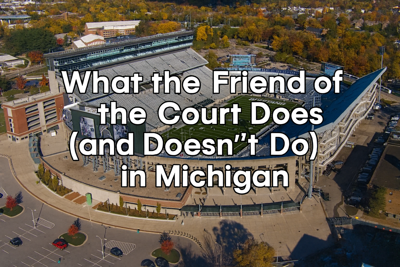 What the Friend of the Court Does (and Doesn’t Do) in Michigan – A Brief Overview
